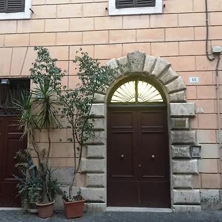 Isolatiberina